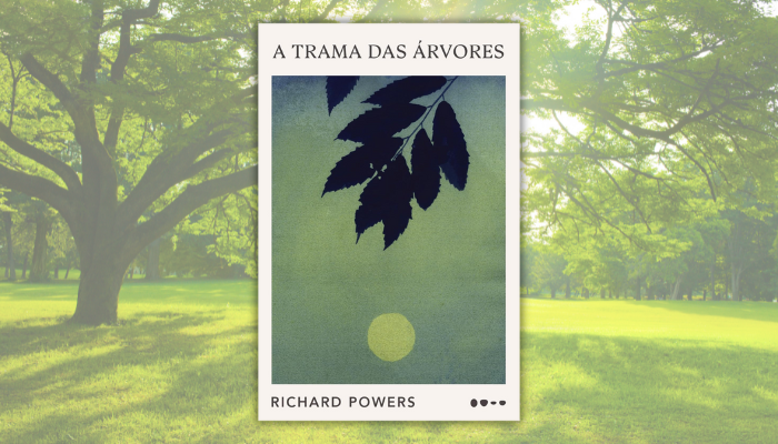 A trama das árvores revela os segredos da floresta através de narrativa épica que transforma nossa percepção sobre a natureza. A trama das árvores revela os segredos da floresta através de narrativa épica que transforma nossa percepção sobre a natureza.